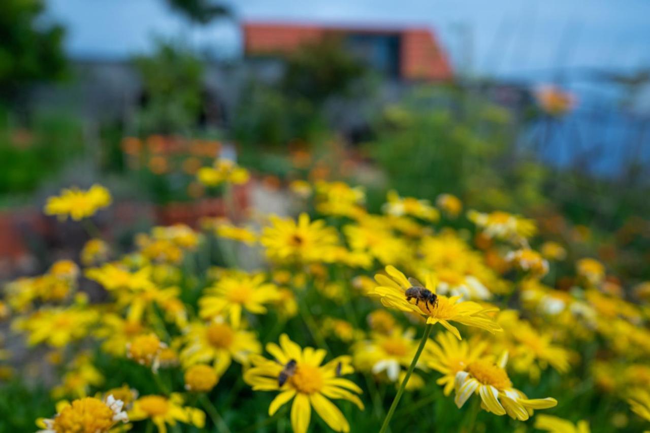 Casas Da Vereda Estreito Da Calheta Oda fotoğraf